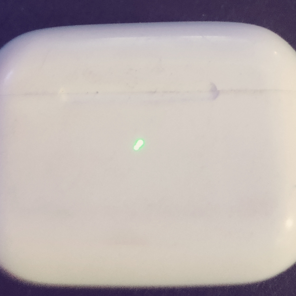 Airpods pro case only model a2190